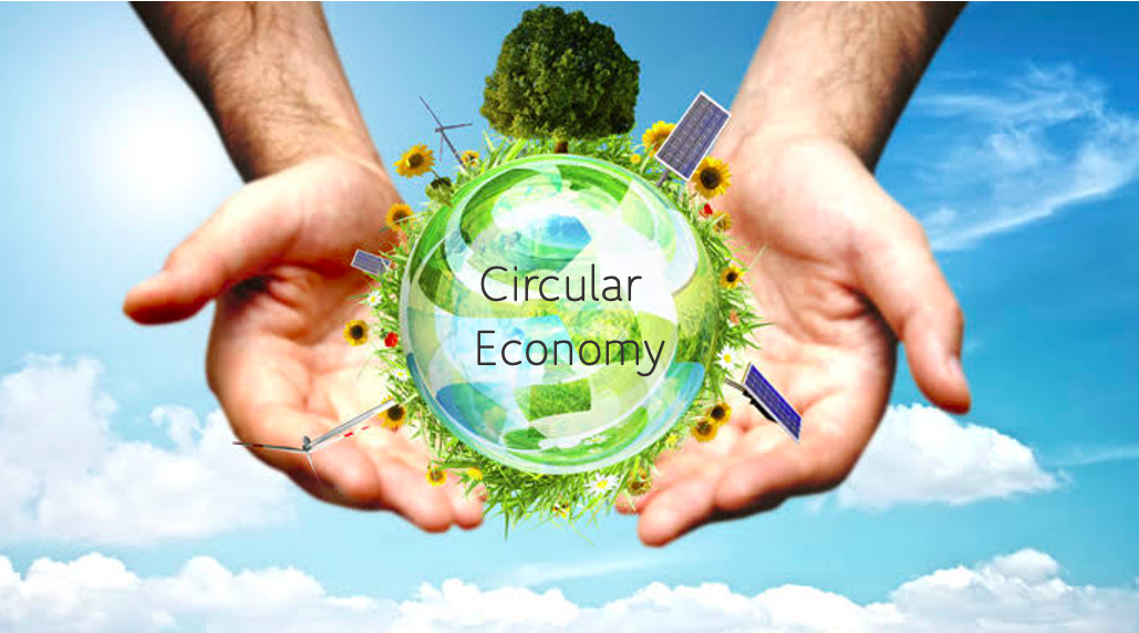 Embracing Circular Economy Strategies